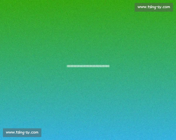 亚冠焦点战上海上港迎战韩国现代强强对话胜负悬念十足引爆赛场