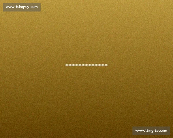 世锦赛巅峰对决林丹与安塞龙跨时代羽坛传奇碰撞书写历史瞬间篇章